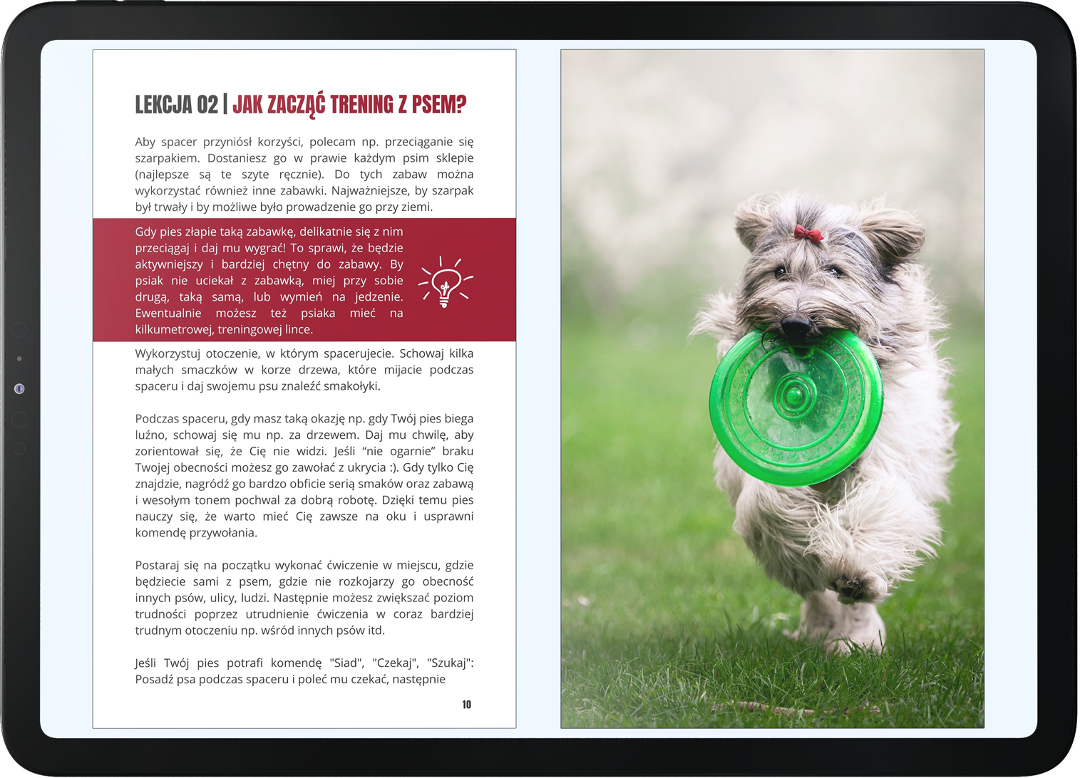  Grafika przedstawia podgląd e-booka: E-book: Pieskie Sprawy - Poradnik Świadomego Opiekuna Psa - Preorder