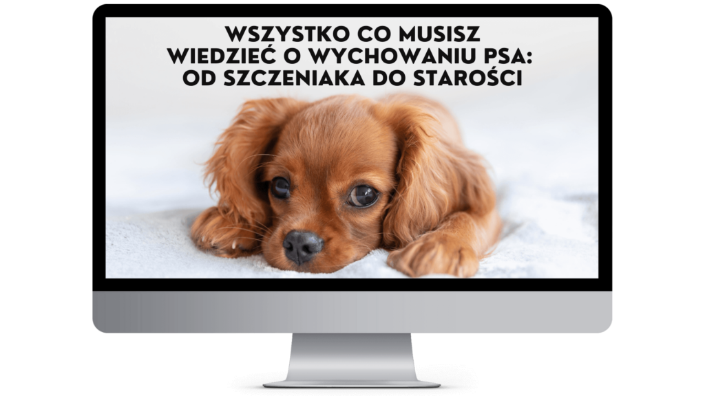 WYCHOWANIE PSA OD SZCZ 1