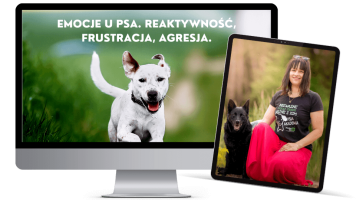 Webinar emocje u psa produkt (1)